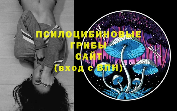 мяу мяу мука Беломорск