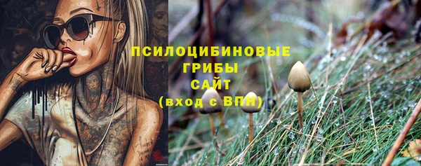ALPHA PVP Белокуриха