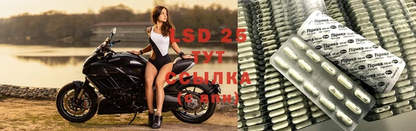 мяу мяу мука Беломорск
