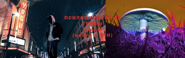 прущие крисы Корсаков