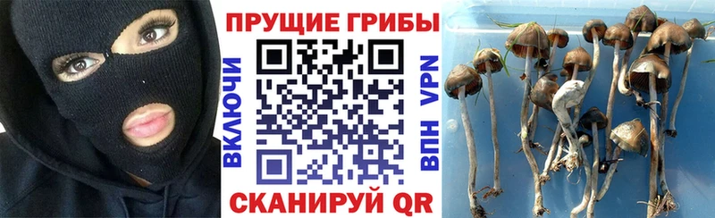 Псилоцибиновые грибы мицелий  даркнет сайт  Воскресенск 